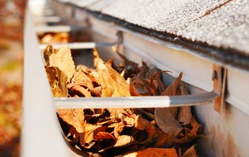 Shepherds Green gutter cleaning companies