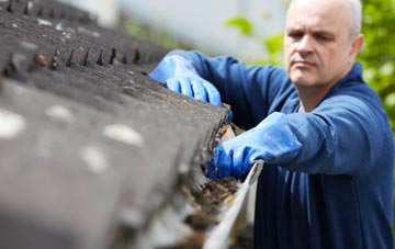 cleaning and inspecting Shepherds Green roofs